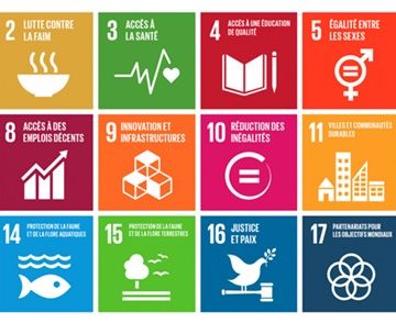 17 objectifs de DD de l'ONU