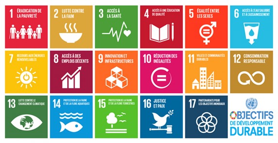 17 objectifs de DD de l'ONU